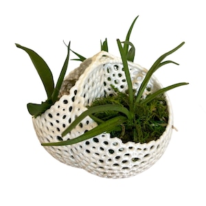 Triple Orchid Planter Basket, Multi Orchid Planter, Mesh Orchid Pot with Drainage Holes, Large Orchid Basket, Hanging Orchid Pot Basket
