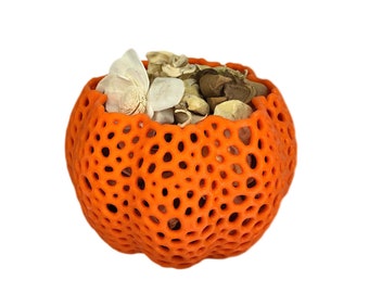 Pumpkin Fall Halloween Pot Orchid Pot, Orchid Planter, Orchid Mesh Pot, Pumpkin Pot, Halloween Plant Pot, Pumpking Orchid Pot with drainage