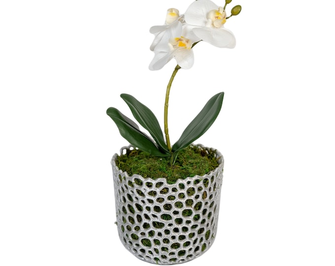 Orchid Pot with Drainage Holes, Modern Basket Orchid Planter with Holes for Orchids and Air Plants, Small, Medium, Large Indoor/Outdoor Pot