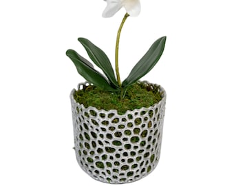 Orchid Pot with Drainage Holes Perfect Modern Basket Orchid Planter with Holes for Orchids and Air Plants Large Hanging Indoor Planter