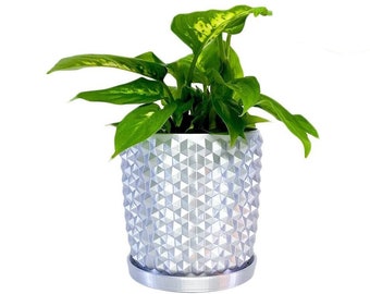 Spiky plant pot with water basin, drainage plant pot, well draining pot, indoor plant pot planter, garden gift, plant gift, modern pot