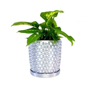 Spiky plant pot with water basin, drainage plant pot, well draining pot, indoor plant pot planter, garden gift, plant gift, modern pot