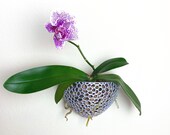 Wall Pot Mesh (Orchid Air-plant Pot)
