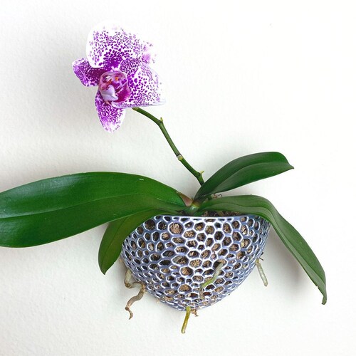 Kokedama Mesh Pot DIY Orchid Pot Airplant Pot Hanging Planter Etsy