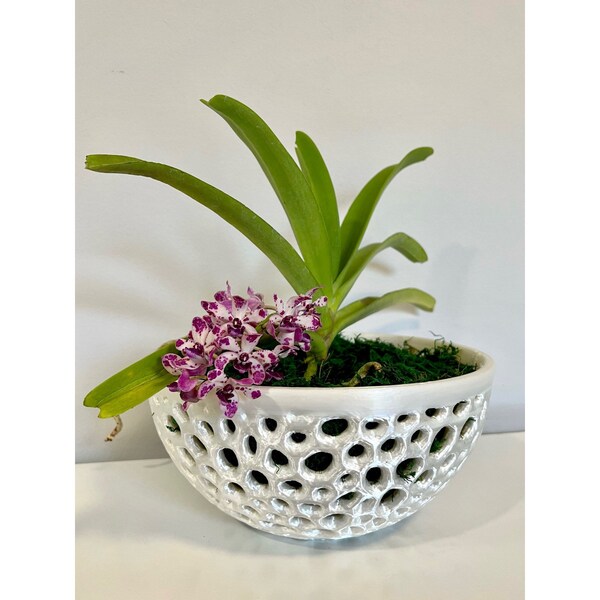 Bol décoratif en pot d'orchidées, bol en filet, pot de plante aérien, jardinière d'orchidées, pot d'orchidées en filet, cadeau pour elle, cadeau de fête des mères