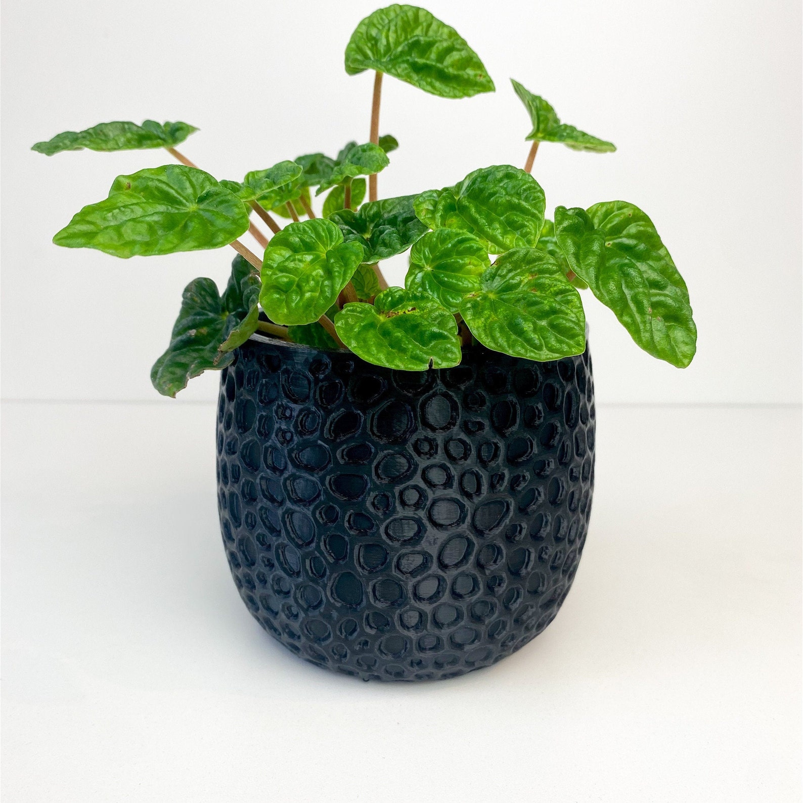 Solid Mesh Pot Plant Pot Planter Etsy