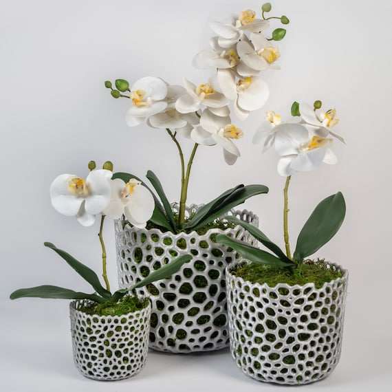 Happyyami Vasi Per Orchidee In Plastica Trasparente Vasi