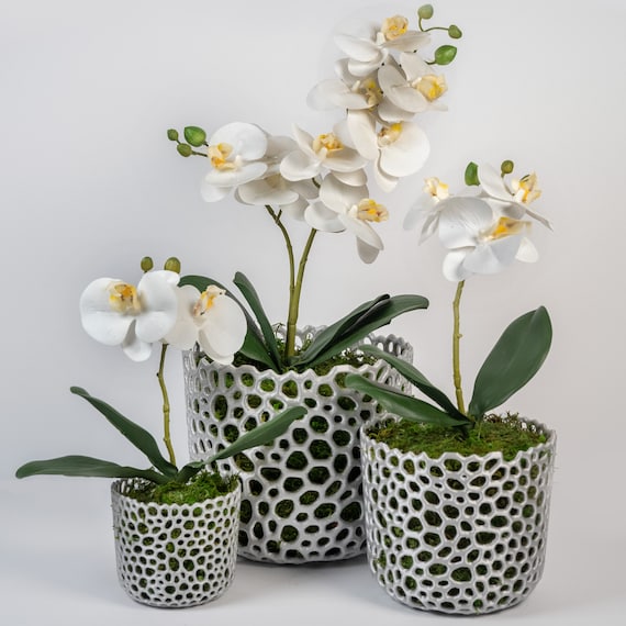 Vaso per orchidee con fori di drenaggio Cesto moderno perfetto Fioriera per  orchidee con fori per orchidee e piante ad aria Grande fioriera sospesa per  interni -  Italia