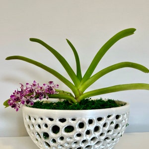 Orchid Bowl Pot Planter, Decorative Bowl Mesh Bowl Air Plant Pot Orchid Planter Mesh Orchid Pot, Gift for Her, Mother's Day Gift image 6