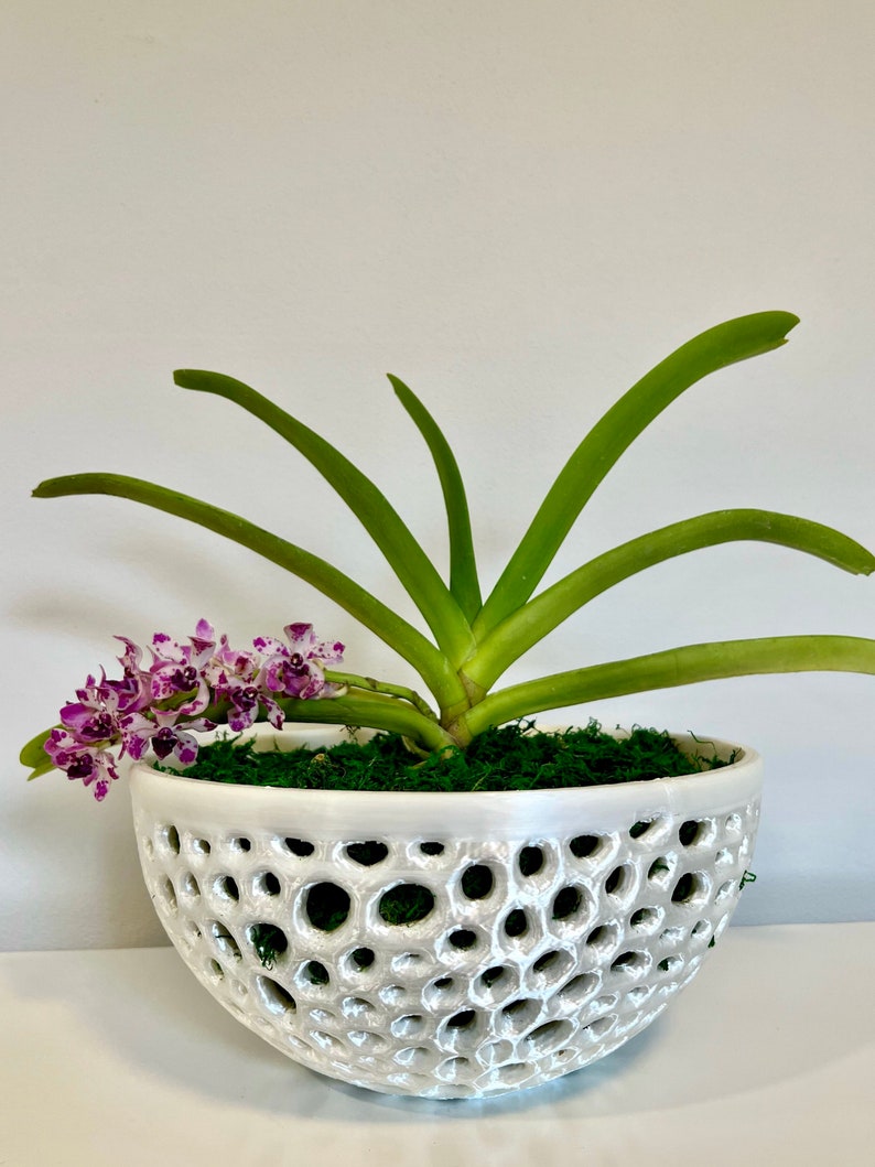 Bol décoratif en pot d'orchidées, bol en filet, pot de plante aérien, jardinière d'orchidées, pot d'orchidées en filet, cadeau pour elle, cadeau de fête des mères image 6