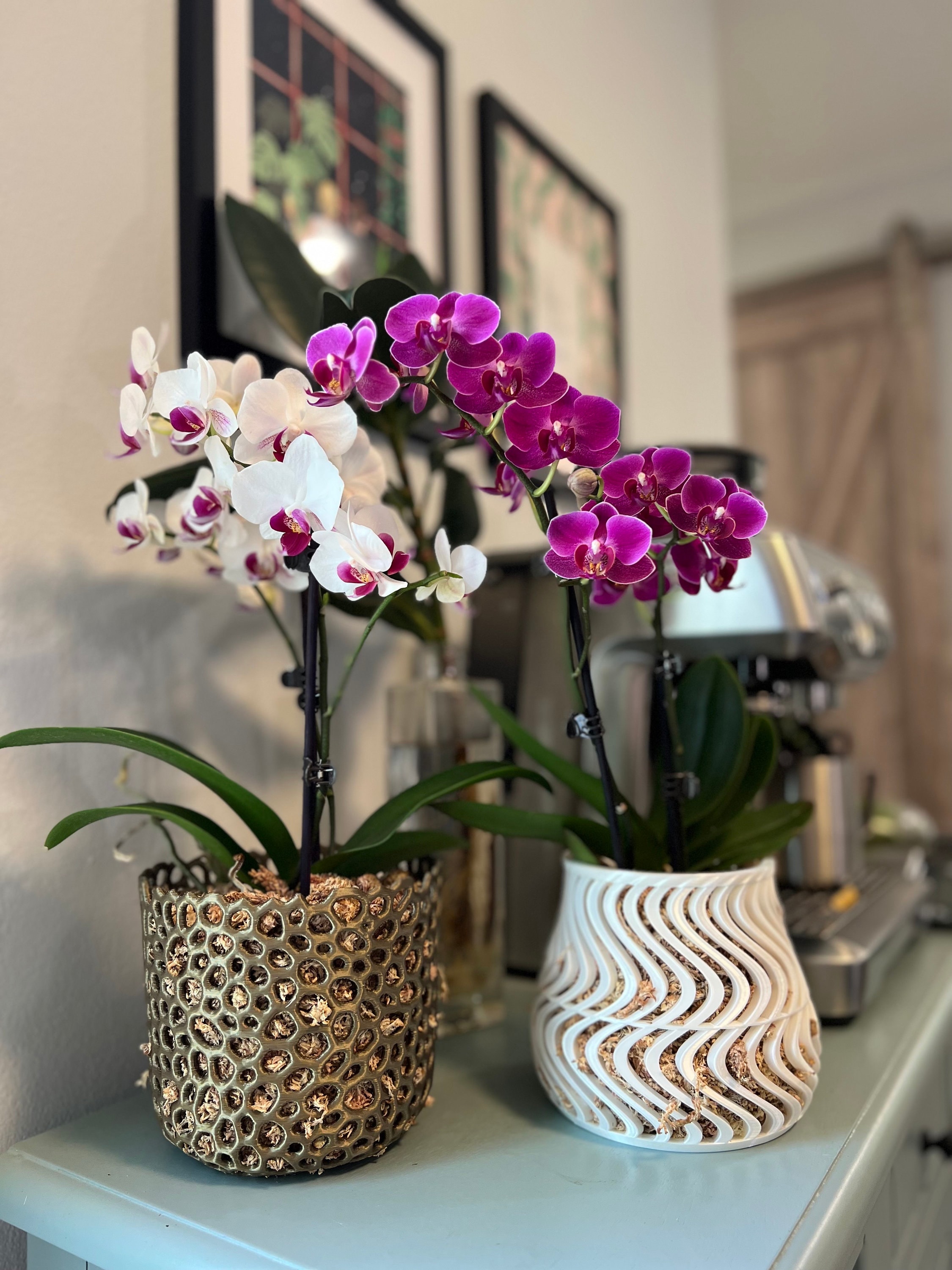Happyyami 2 Vasi Per Orchidee In Plastica Con Fori Di Drenaggio E Sottovaso – Alti 24 Cm, Per Interni Ed Esterni