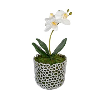 Happyyami 2 Vasi Per Orchidee In Plastica Con Fori Di Drenaggio E Sottovaso – Alti 24 Cm, Per Interni Ed Esterni