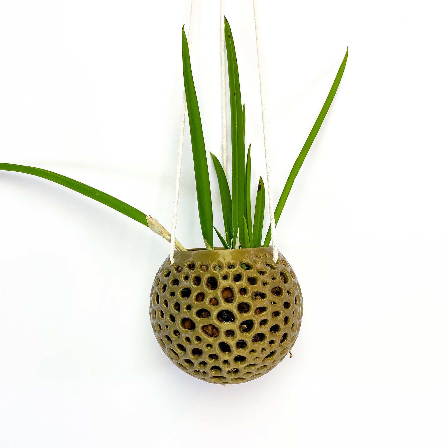 Kokedama Mesh Pot DIY Orchid Pot Airplant Pot Hanging Planter Voronoi…