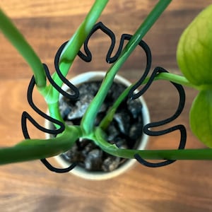 Climbing Plant Stem Support Holders Monstera Leaf, Adjustable Plant Stakes, Accessories for Monstera, Philodendron – 6-Pack Multiple Sizes