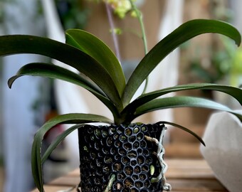 2 vasi per fiori in plastica traspirante per orchidee con fori di