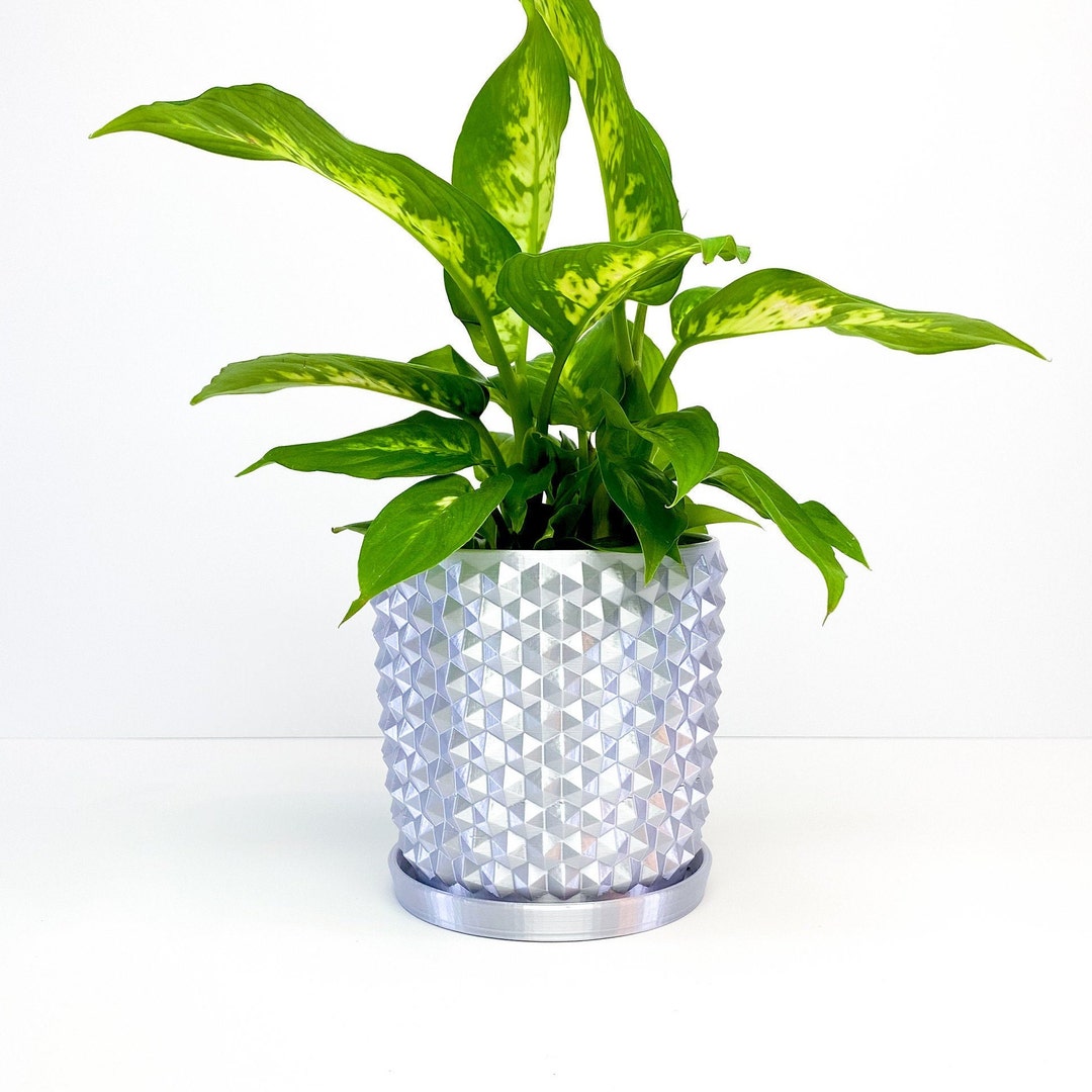 Spiky Plant Pot With Water Basin, Drainage Plant Pot, Well Draining Pot