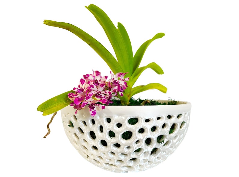 Bol décoratif en pot d'orchidées, bol en filet, pot de plante aérien, jardinière d'orchidées, pot d'orchidées en filet, cadeau pour elle, cadeau de fête des mères image 1