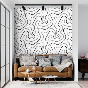 Minimalist Abstract Lines Wallpaper: Black and White Peel and Stick or Traditional