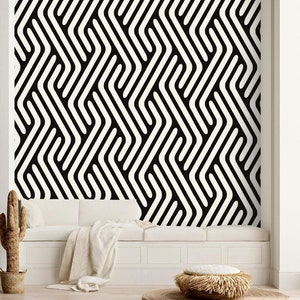 Art deco wallpaper elegant abstract black and white Peel and stick removable wallpaper