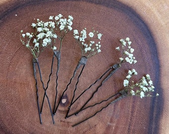 Fleuron, Fleurs de souffle de bébé, Épingles à cheveux Gypsophila, fleurs séchées