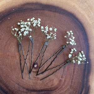 Floret, Babys Breath Flowers, Gypsophila Hair Pins, dried flowers