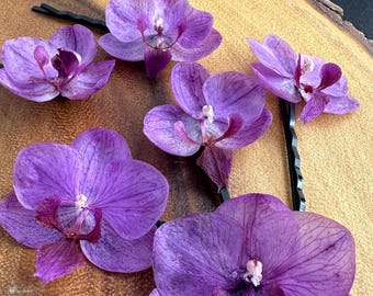 Dried Orchid Hair Pin