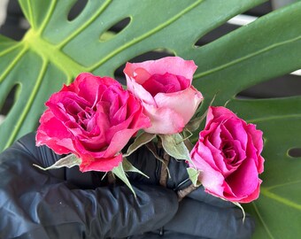 Dried Pink Tea Rose Hair Pin, Real Flower Hair Accessory, Bridal Hair Flower, Wedding Hair Piece, Floral Hair Pin