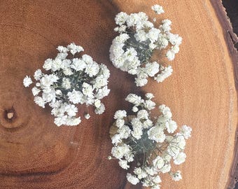 Baby's Breath Floral Dog Hair Tie, Dried Flower Ponytail Holder, Gypsophila Hair Accessory