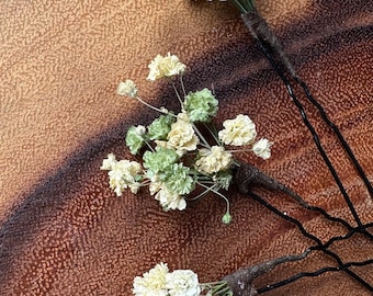 Green and Honeycomb Babys Breath Flowers, Gypsophila Hair Pins, dried flowers