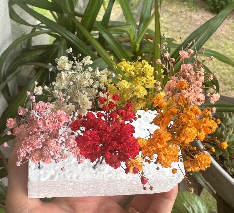 K&ouml;nnte beinhalten: Sechs kleine Str&auml;u&szlig;e getrockneter Blumen in verschiedenen Farben, darunter Wei&szlig;, Gelb, Rosa, Rot und Orange, in einer wei&szlig;en Schaumstoffbasis angeordnet.