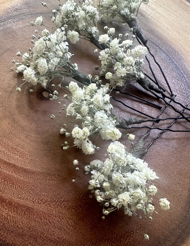 K&ouml;nnte beinhalten: F&uuml;nf kleine Str&auml;u&szlig;e aus wei&szlig;en Babyschnapsblumen, die an Haarnadeln befestigt sind. Die Blumen sind in einer Reihe auf einer Holzoberfl&auml;che angeordnet.
