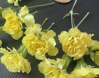 10 Dried mini Yellow Carnation Flowers, Natural Dried Flowers for Crafts and Floral Design