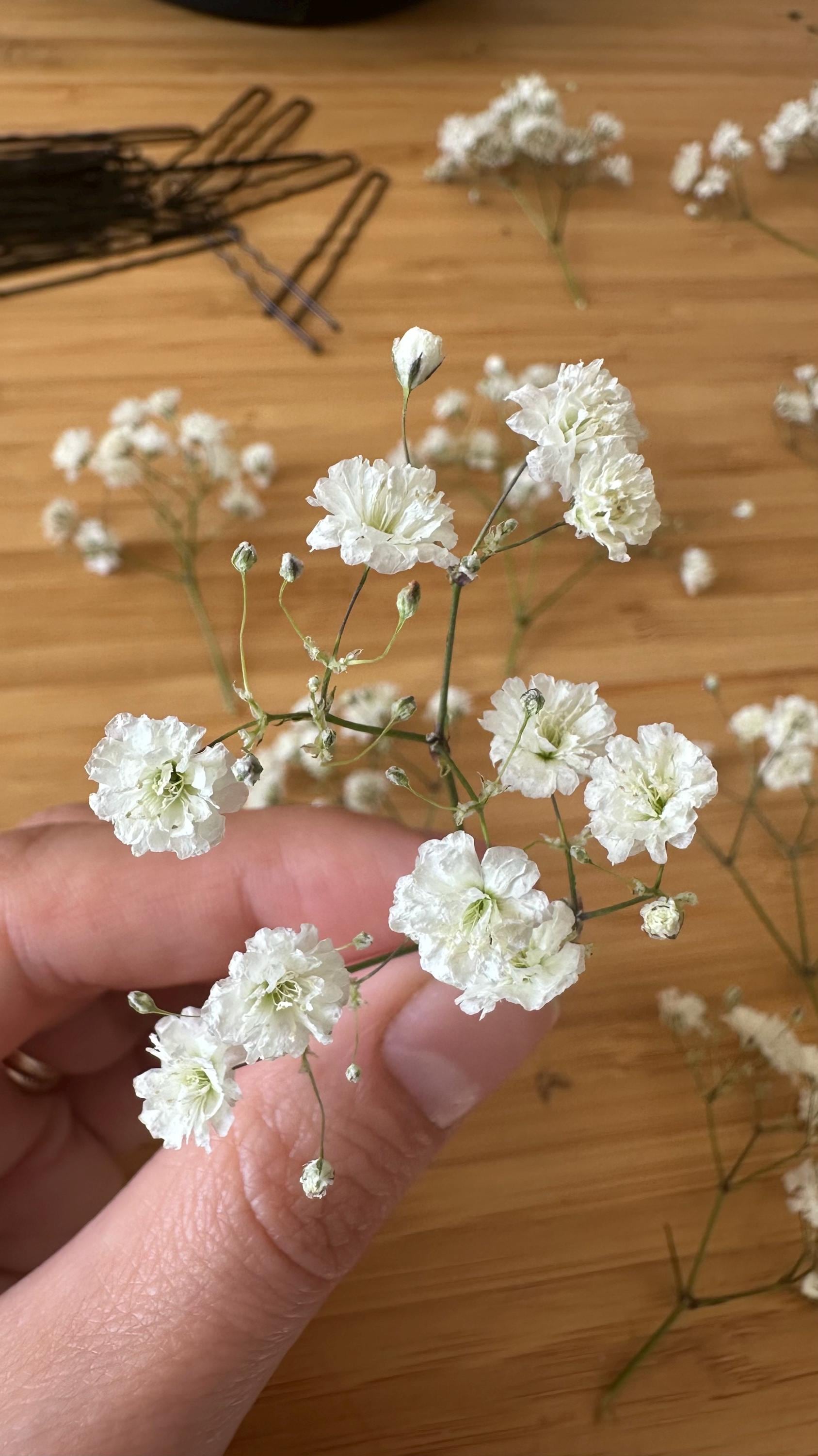 Babys Breath Flowers, Gypsophila Hair Pins, Dried Flowers - Etsy