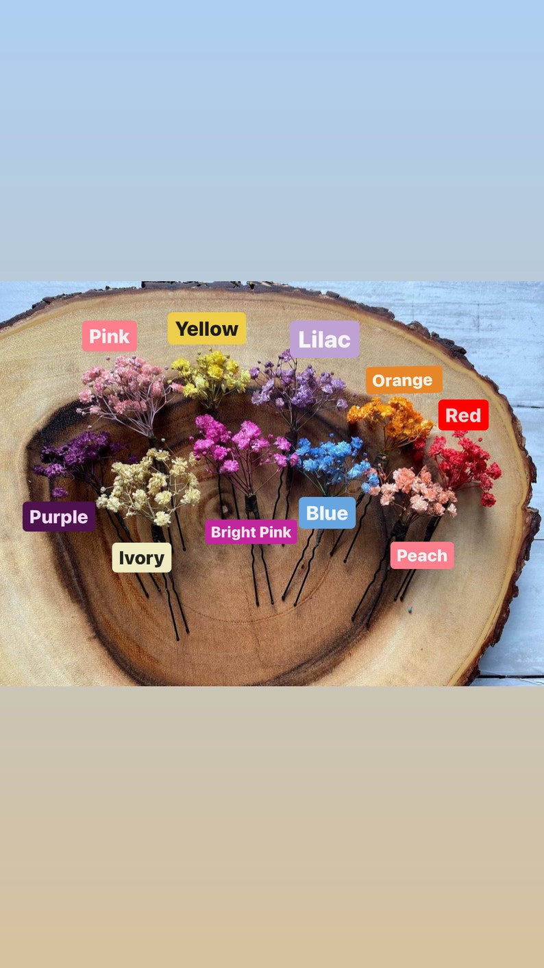 K&ouml;nnte beinhalten: Sortiment von 10 Haarnadeln mit getrockneten Blumen in verschiedenen Farben, darunter rosa, gelb, lila, orange, rot, lila, elfenbein, pink, blau und pfirsich. Die Nadeln sind auf einer Holzoberfl&auml;che angeordnet.
