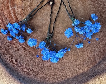 Könnte beinhalten: Drei Haarnadeln mit blauen getrockneten Blumen an den Enden. Die Nadeln sind schwarz und haben ein wellenförmiges Design.