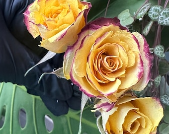 3 Dried Yellow-purple Tea Rose Hair Pins, Real Flower Hair Accessory, Bridal Hair Flower, Wedding Hair Piece, Floral Hair Pin