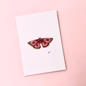 Foglio decorativo a forma di farfalla. Stampa artistica di alta qualità. Illustrazione ad acquerello (Eochroa Trimenii). Dipinto da regalare. Insetti