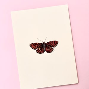 Foglio decorativo a forma di farfalla. Stampa artistica di alta qualità. Illustrazione ad acquerello. Dipinto da regalare. Illustrazione di insetti