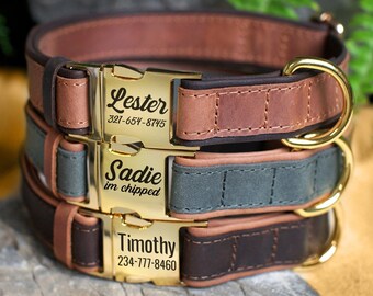 boy dog collars etsy