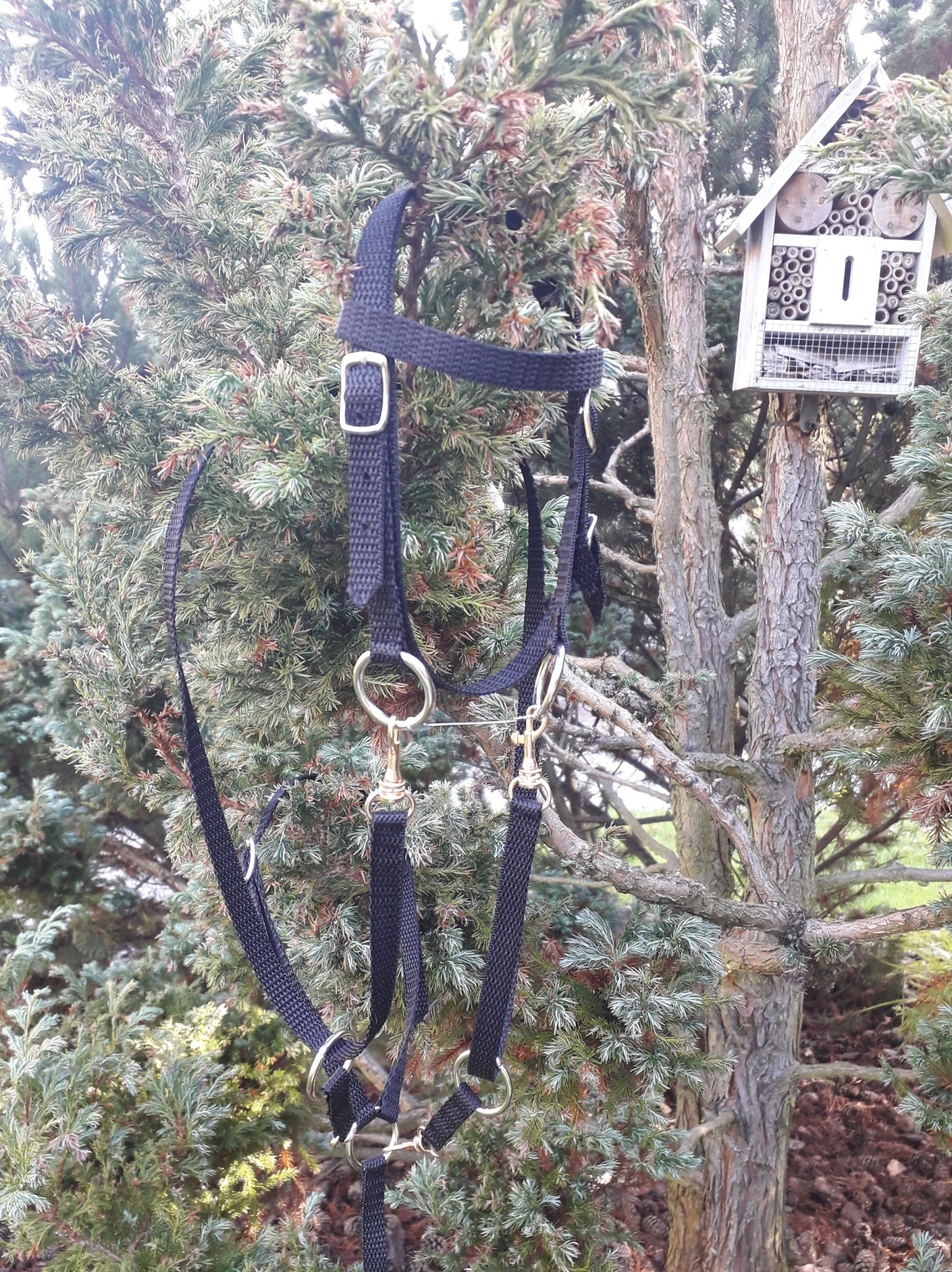 Equipment for Hobby horse equipment Etsy