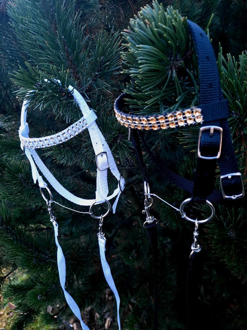 Bridle for Hobby Horse Etsy