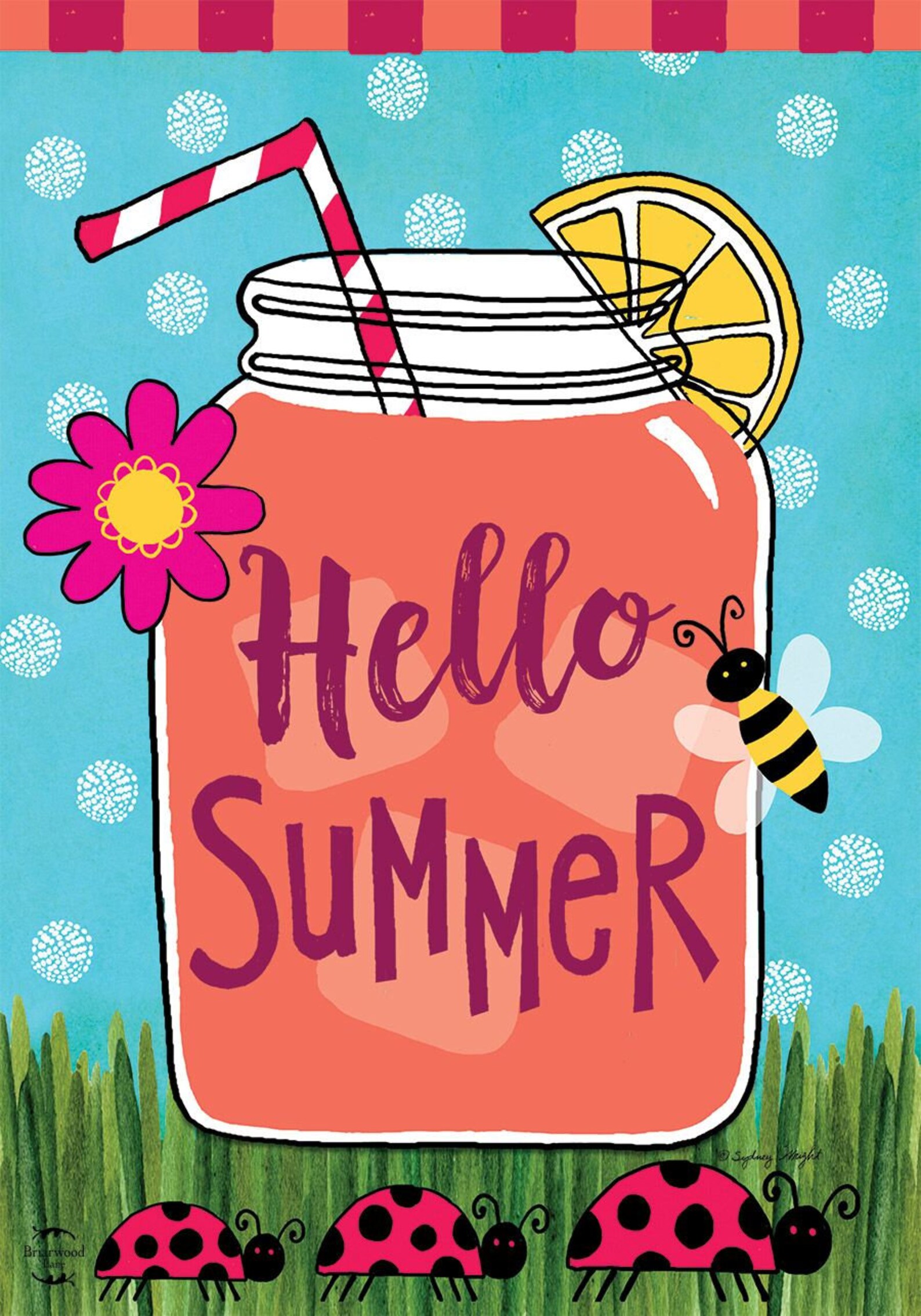 Hello Summer Lemonade Flag Summer Flag Vertical Double Sided | Etsy