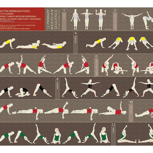 Interactive Meridian Yoga Poses for the 12 Primary Meridian Poses poster.pdf