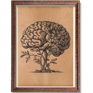 Impression florale d'anatomie du cerveau - affiche médicale botanique - art mural neurosciences vintage - décoration scientifique gothique