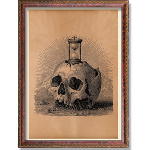 Memento Mori Wall Art – Anatomical Skull Print – Dark Academia Decor – Vintage Medical Illustration – Vanitas Death Poster