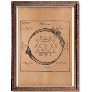 May include: A framed vintage print of an alchemical illustration, featuring an ouroboros, a star, and various symbols, in sepia tones. The text is in Latin. The frame is dark wood with a decorative edge.