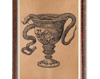 Chalice of Snakes Print – Magic Ritual Art, Occult Alchemical Poster, Mystical Snake Chalice, Witchcraft Decor, Esoteric Illustration