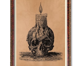 Memento Mori Skull Art – Gothic Wall Print – Skeleton Anatomy Poster – Death Philosophy Decor – Dark Academia Gift – Human Skull Artwork