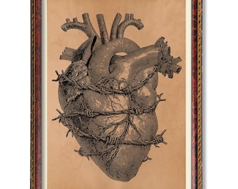 Anatomiskt hjärta i taggtråd – Vintage medicinsk illustrationsaffisch, rustik anatomiväggkonst, antik vetenskaplig dekoration