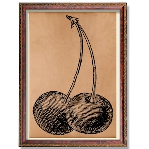 Cherry Botanical Art – Vintage Fruit Illustration – Antique Kitchen Wall Poster – Rustic Garden Decor – Botanical Cherry Decoration
